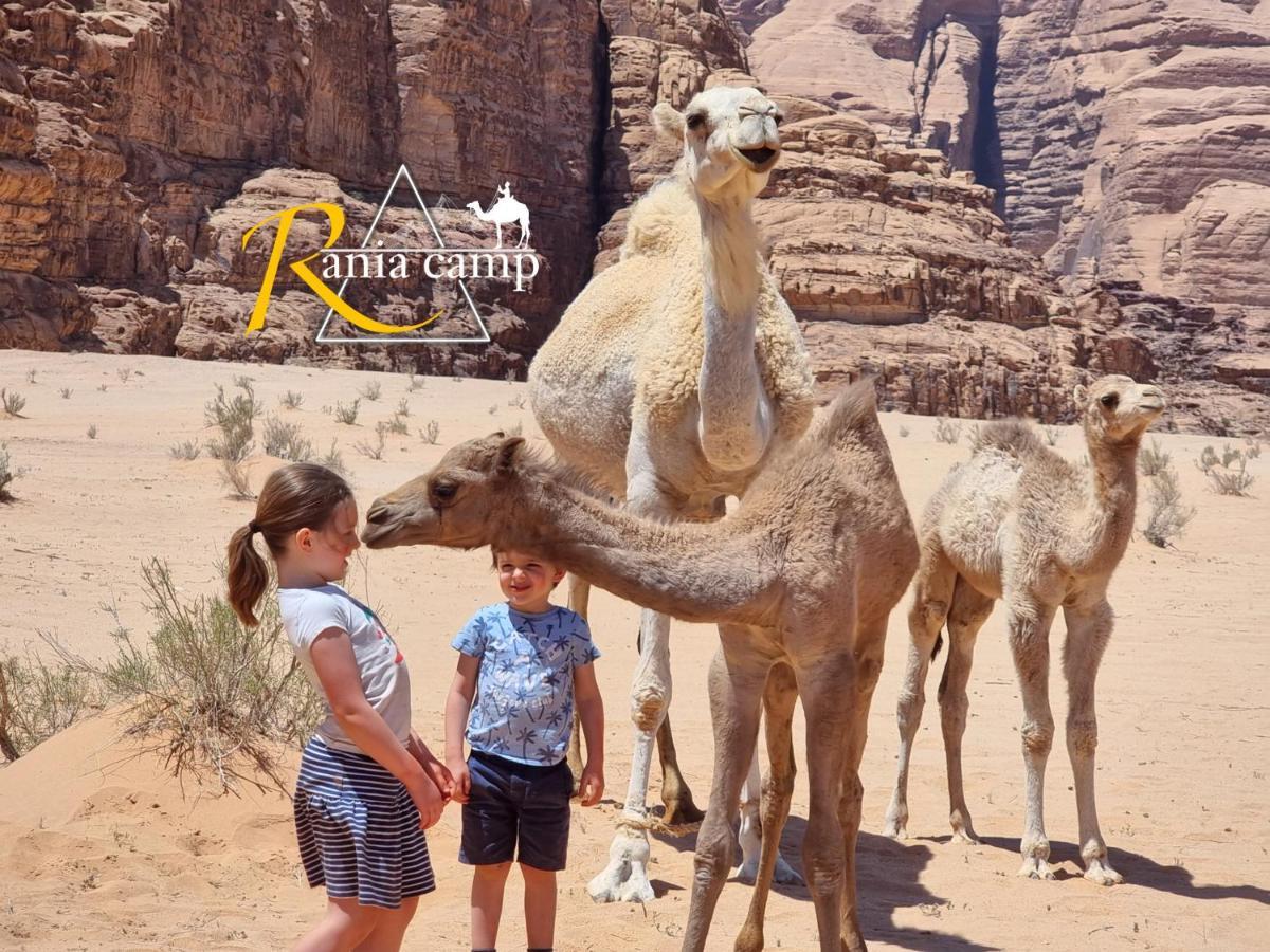 Wadi Rum,Rania Camp Ngoại thất bức ảnh