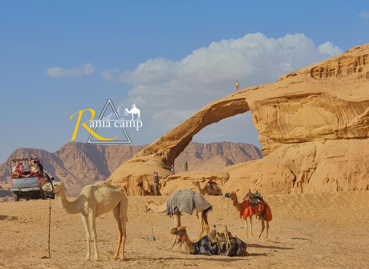 Wadi Rum,Rania Camp Ngoại thất bức ảnh