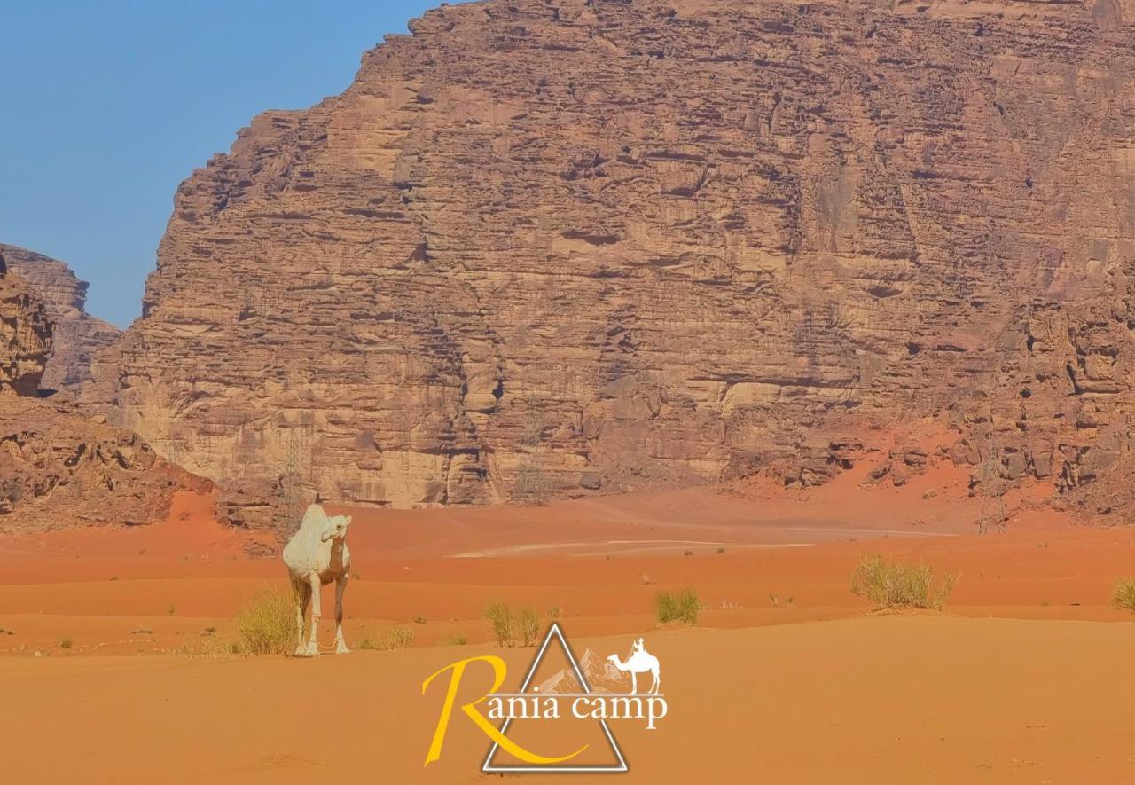 Wadi Rum,Rania Camp Ngoại thất bức ảnh